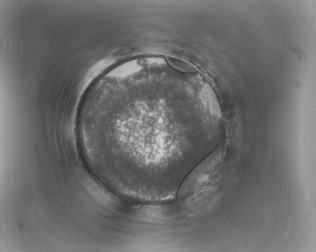 X0000114660104200911171118