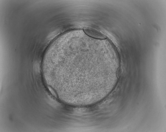 X0000114660105200911171118