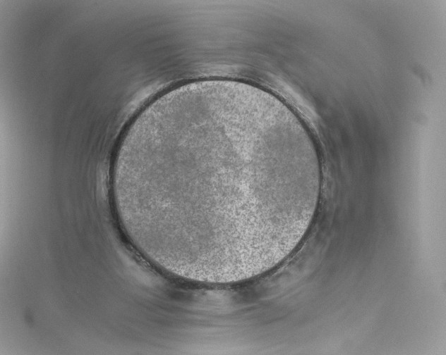 X0000114660107200911171118