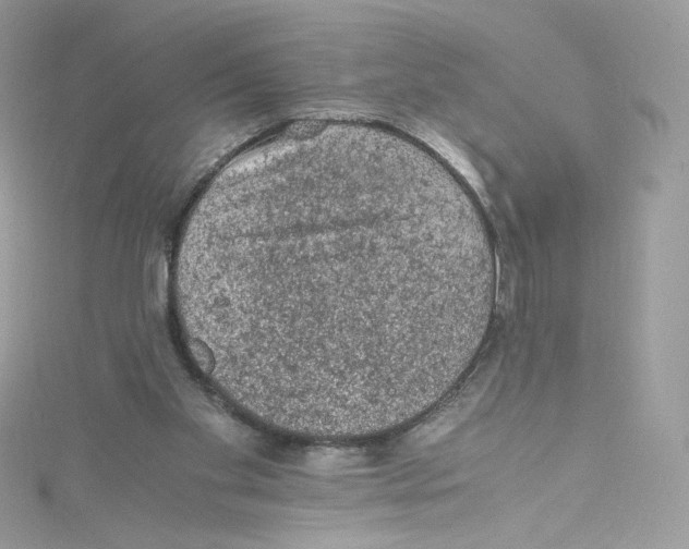 X0000114660109200911171118