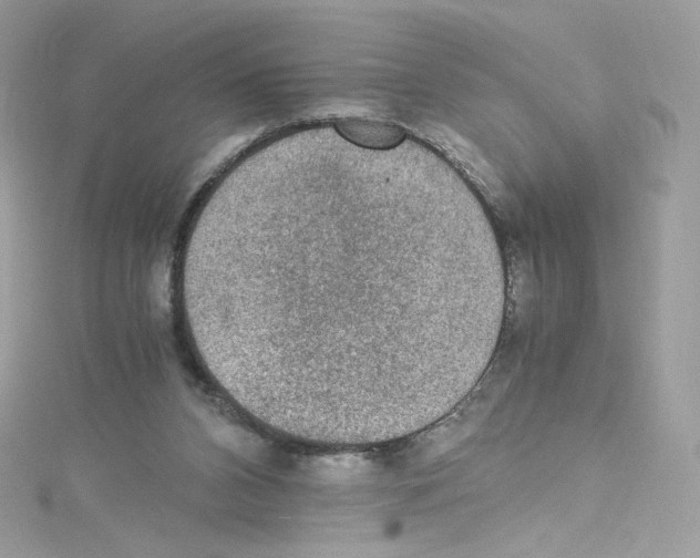 X0000114660112200911171118