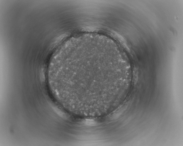 X0000114660114200911171118