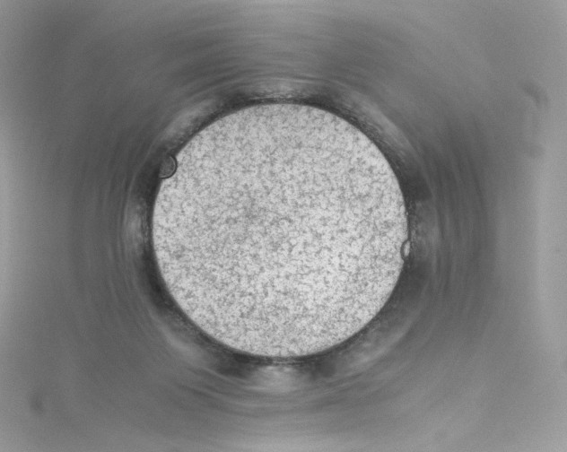 X0000114660119200911171118