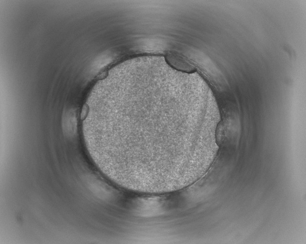 X0000114660120200911171118