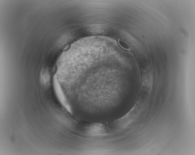 X0000114660124200911171118