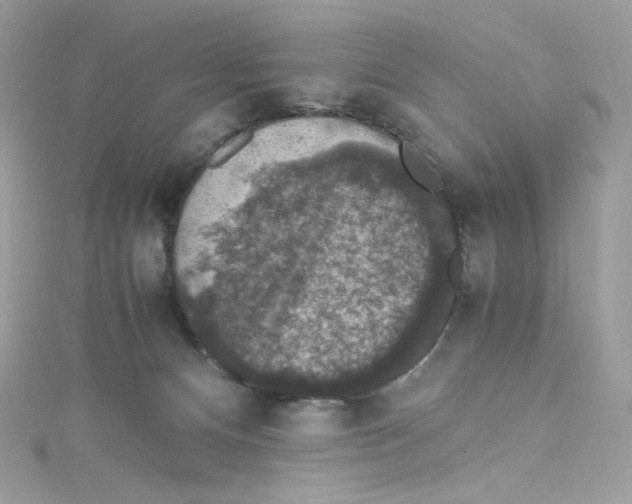 X0000114660128200911171118