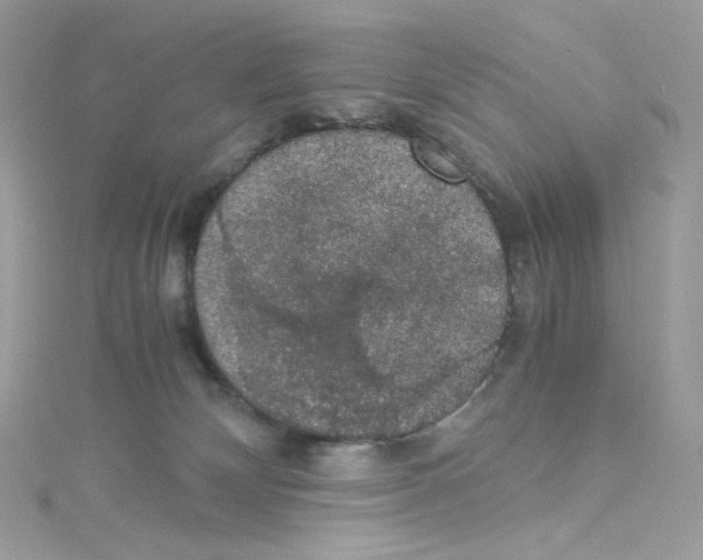 X0000114660132200911171118