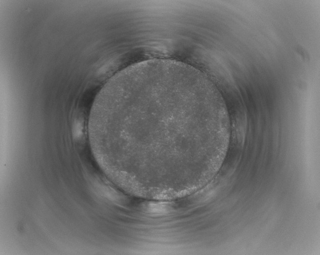 X0000114660134200911171118