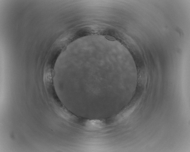 X0000114660137200911171118