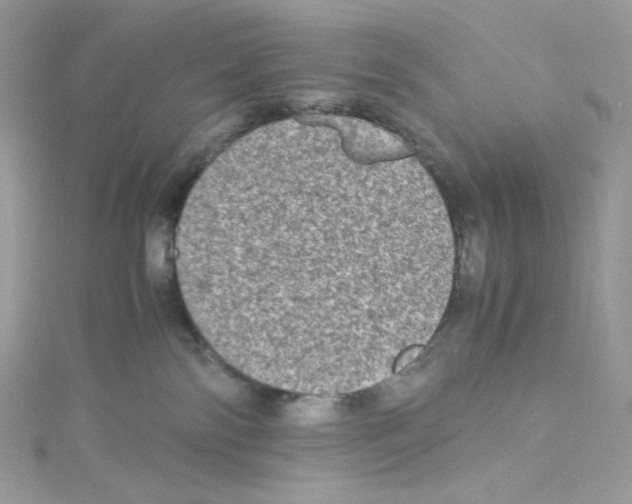 X0000114660138200911171118