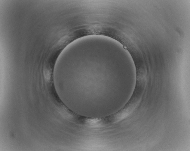 X0000114660139200911171118