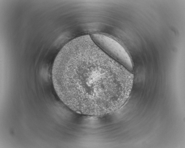 X0000114660140200911171118