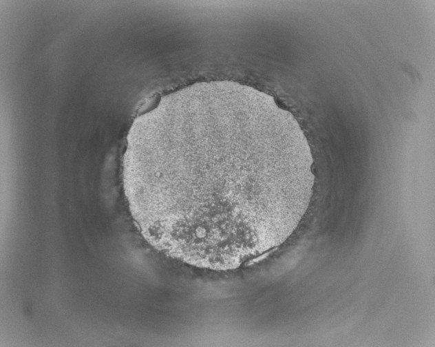 X0000114660144200911171118