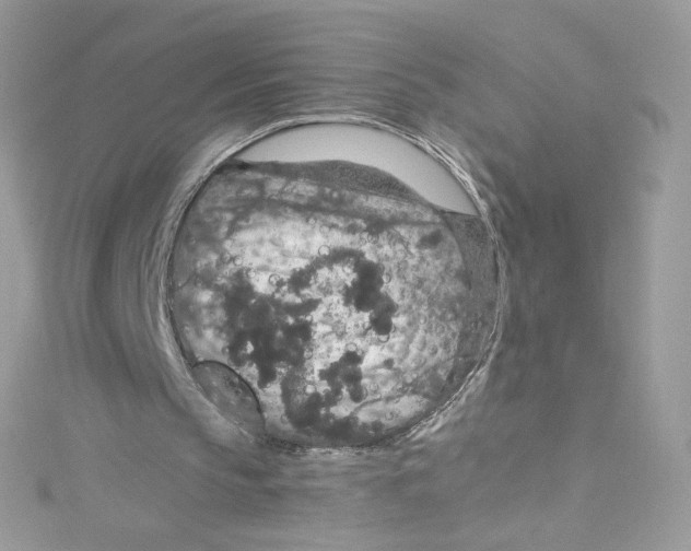 X0000114660145200911171117