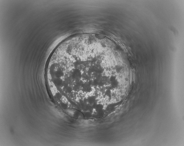 X0000114660147200911171117