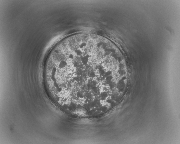 X0000114660149200911171117