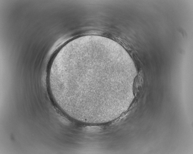 X0000114660150200911171117