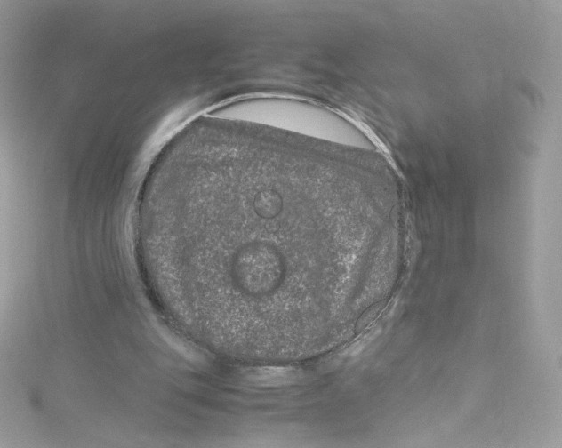 X0000114660151200911171117