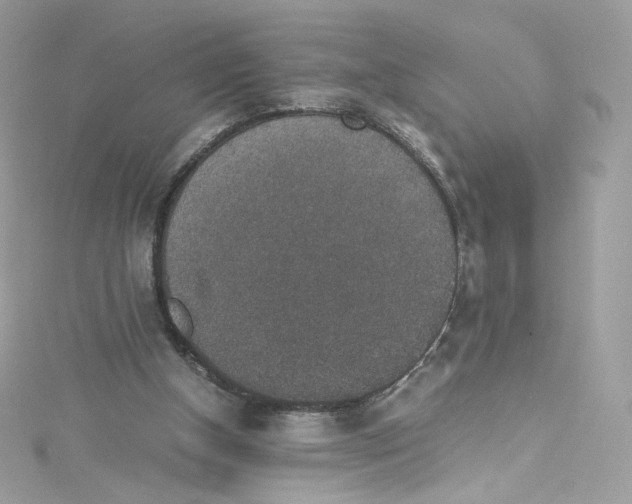 X0000114660154200911171117