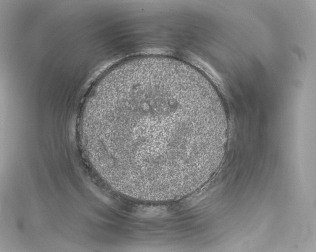 X0000114660155200911171117