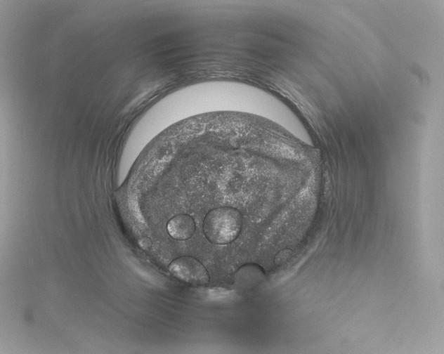 X0000114660165200911171118