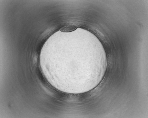 X0000114660166200911171118