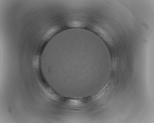 X0000114660167200911171118