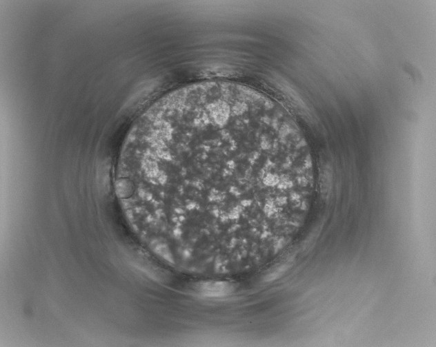 X0000114660169200911171118