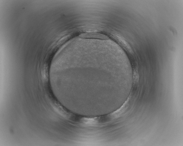 X0000114660170200911171118