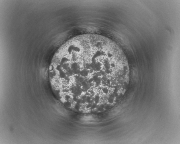 X0000114660177200911171118