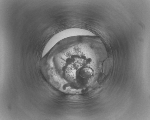 X0000114660181200911171118