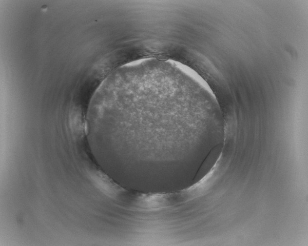 X0000114660186200911171118