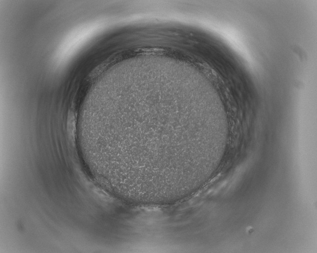 X0000114660194200911171117