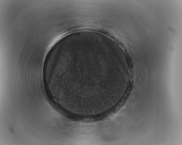 X0000114660196200911171117