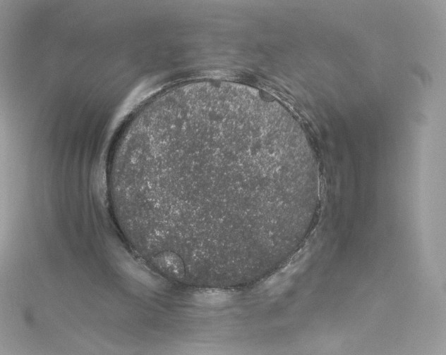 X0000114660198200911171117