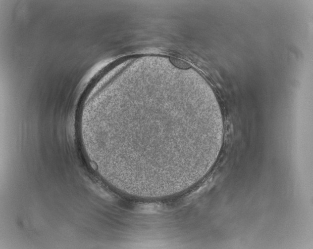 X0000114660200200911171117