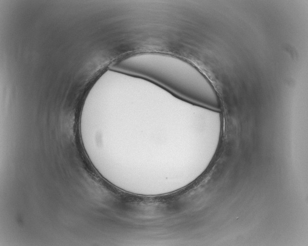 X0000114660201200911171117