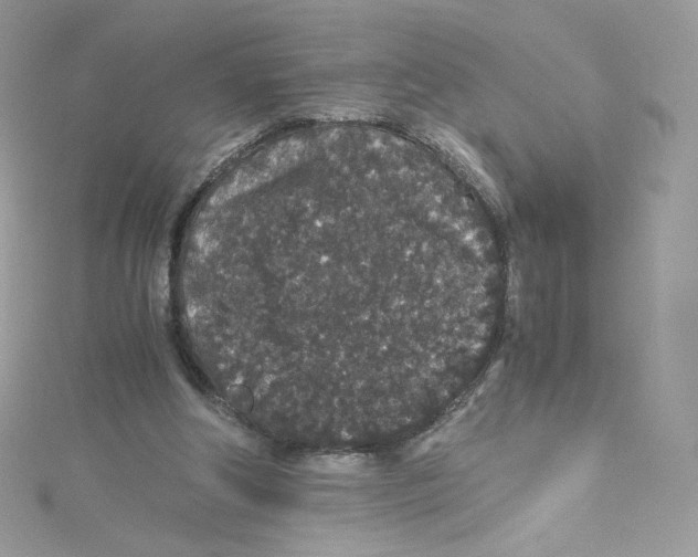 X0000114660202200911171117