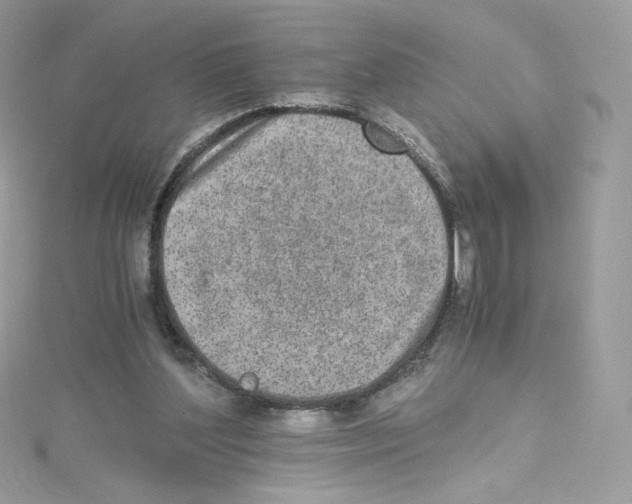 X0000114660204200911171117