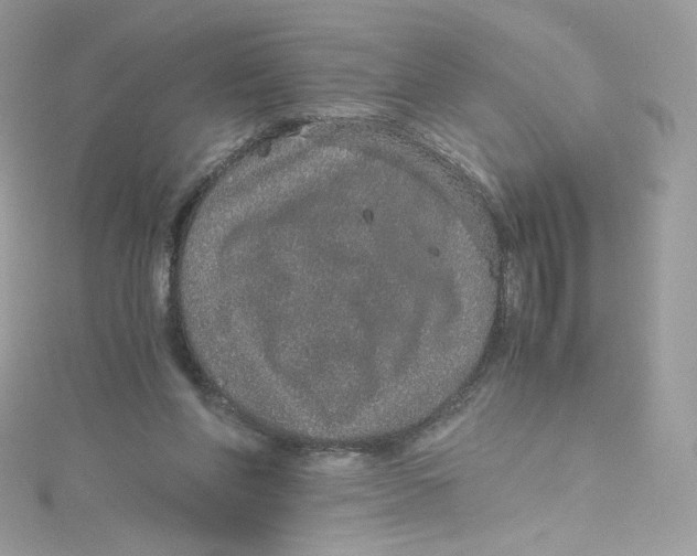 X0000114660206200911171117