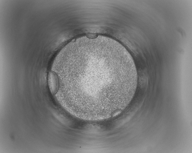 X0000114660207200911171117