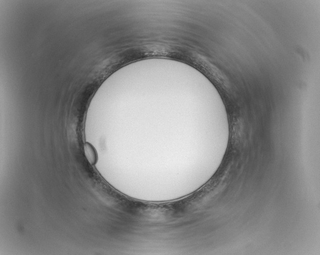 X0000114660209200911171117