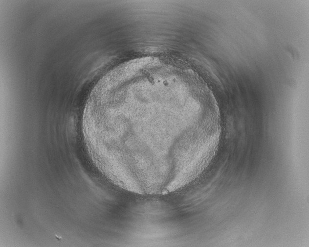 X0000114660210200911171117