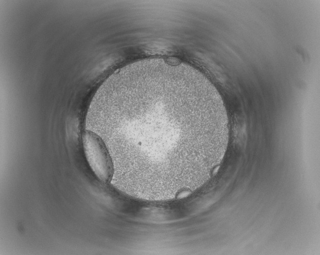 X0000114660211200911171117