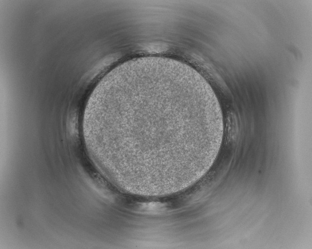 X0000114660212200911171117