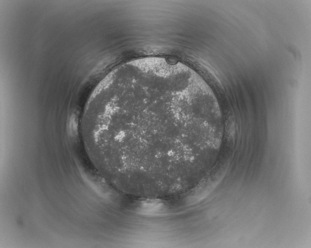 X0000114660214200911171117