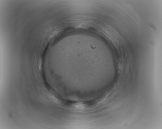 X0000114660219200911171117