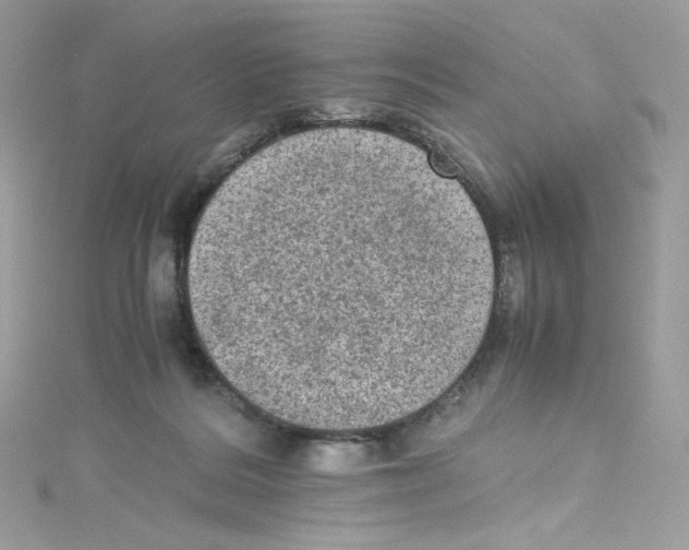 X0000114660220200911171117