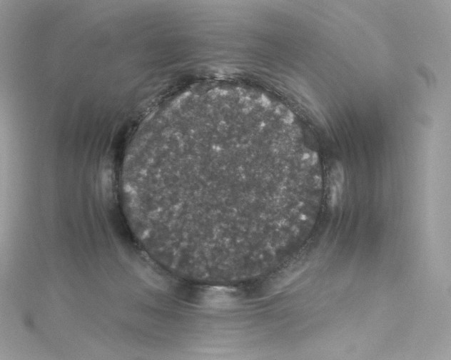 X0000114660222200911171117