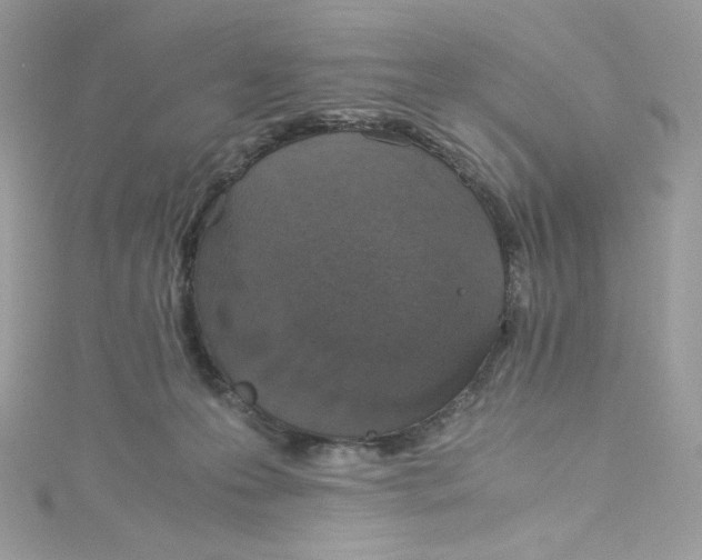 X0000114660223200911171117